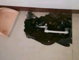 郏县卫生间测漏水多少钱